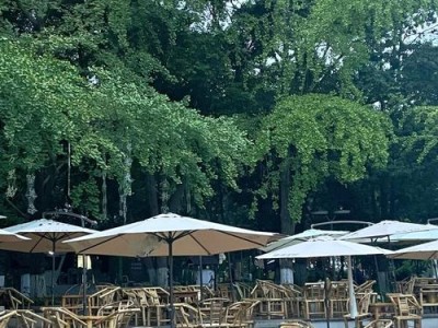 成都本地人教你：茶馆、公园、街巷里，这些地方才是真正的休闲好去处