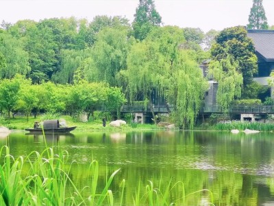 成都休闲好去处：浣花溪公园绿意浓，隐匿老街烟火气中