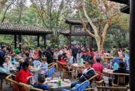 成都休闲生活到底怎么样？深度体验巴适内核，感受慢生活哲学