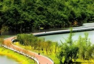 成都绿道骑行与本地茶馆推荐，休闲好去处盘点