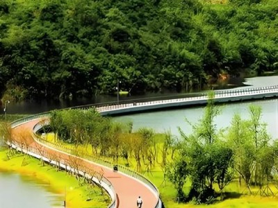 成都绿道骑行与本地茶馆推荐，休闲好去处盘点