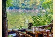 成都休闲生活指南：地道茶馆文化哪里体验？鹤鸣茶社必打卡