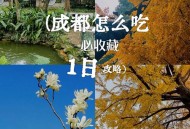 成都休闲指南：本地人私藏的慢生活玩法