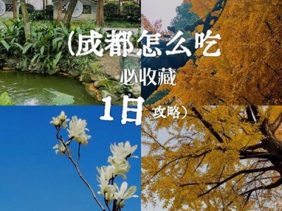 成都休闲指南：本地人私藏的慢生活玩法