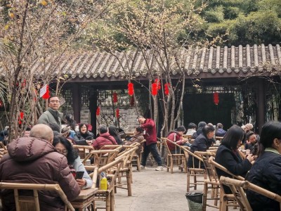 成都休闲怎么玩？本地人带你解锁地道喝茶、公园玩法与夜生活