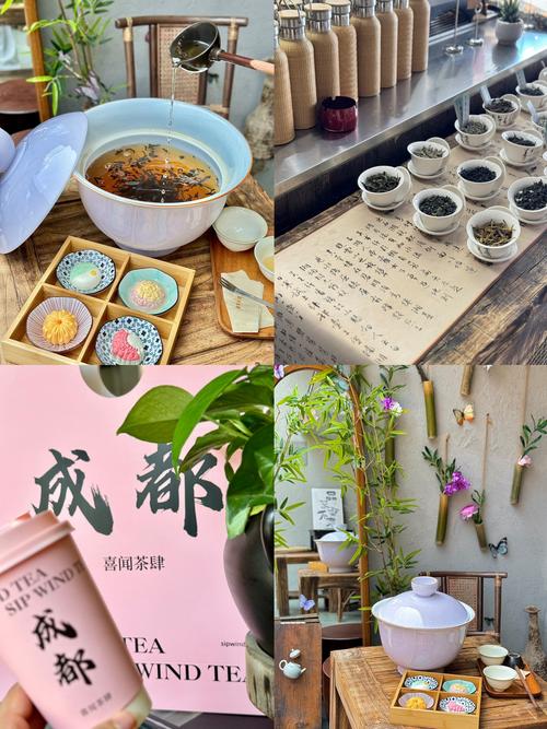 休闲的成都_成都休闲怎么样_休闲城市成都