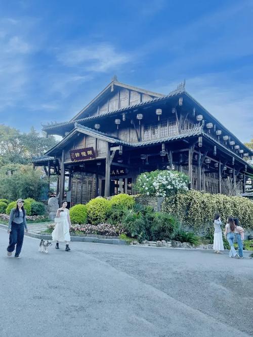 成都好玩的休闲地方_休闲的成都_成都休闲哪里好